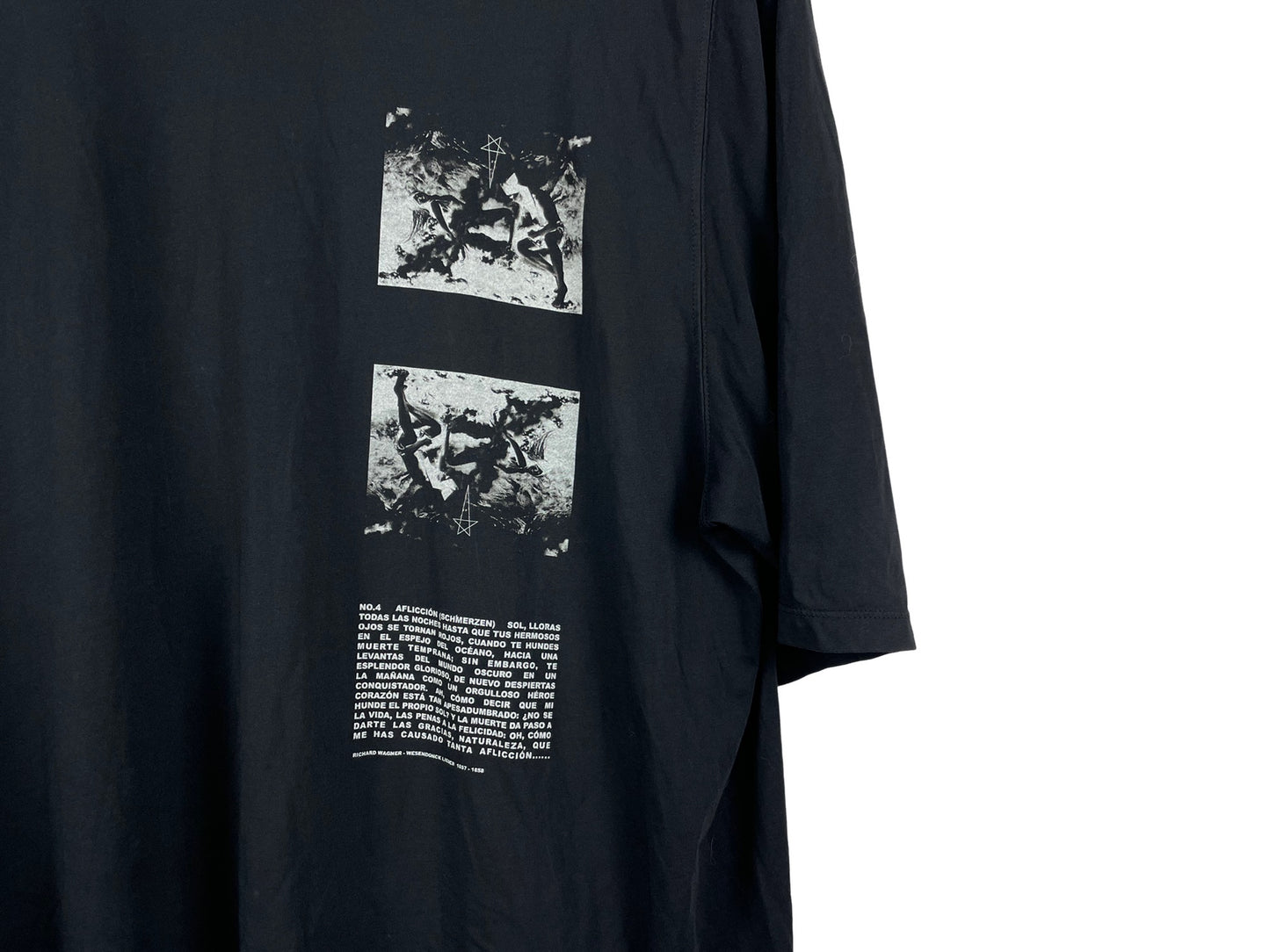 Rick Owens DRKSHDW Graphic Print Level T-Shirt