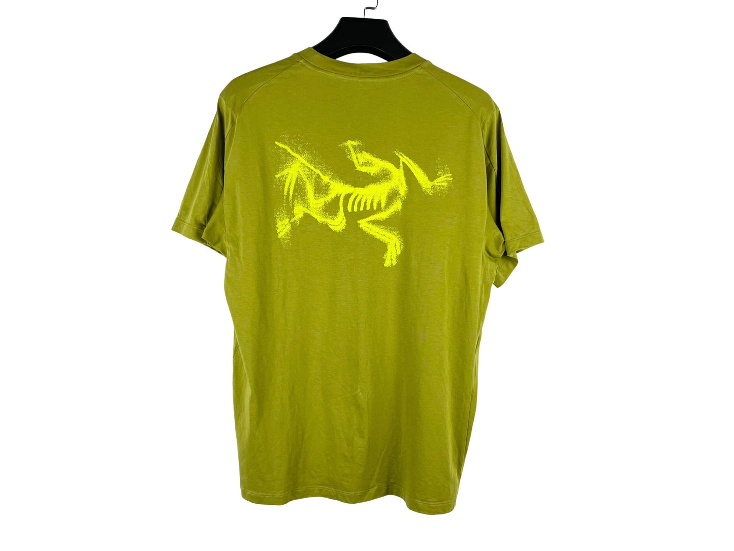 Arc'teryx Kragg SL Cotton Blurred Bird Shirt