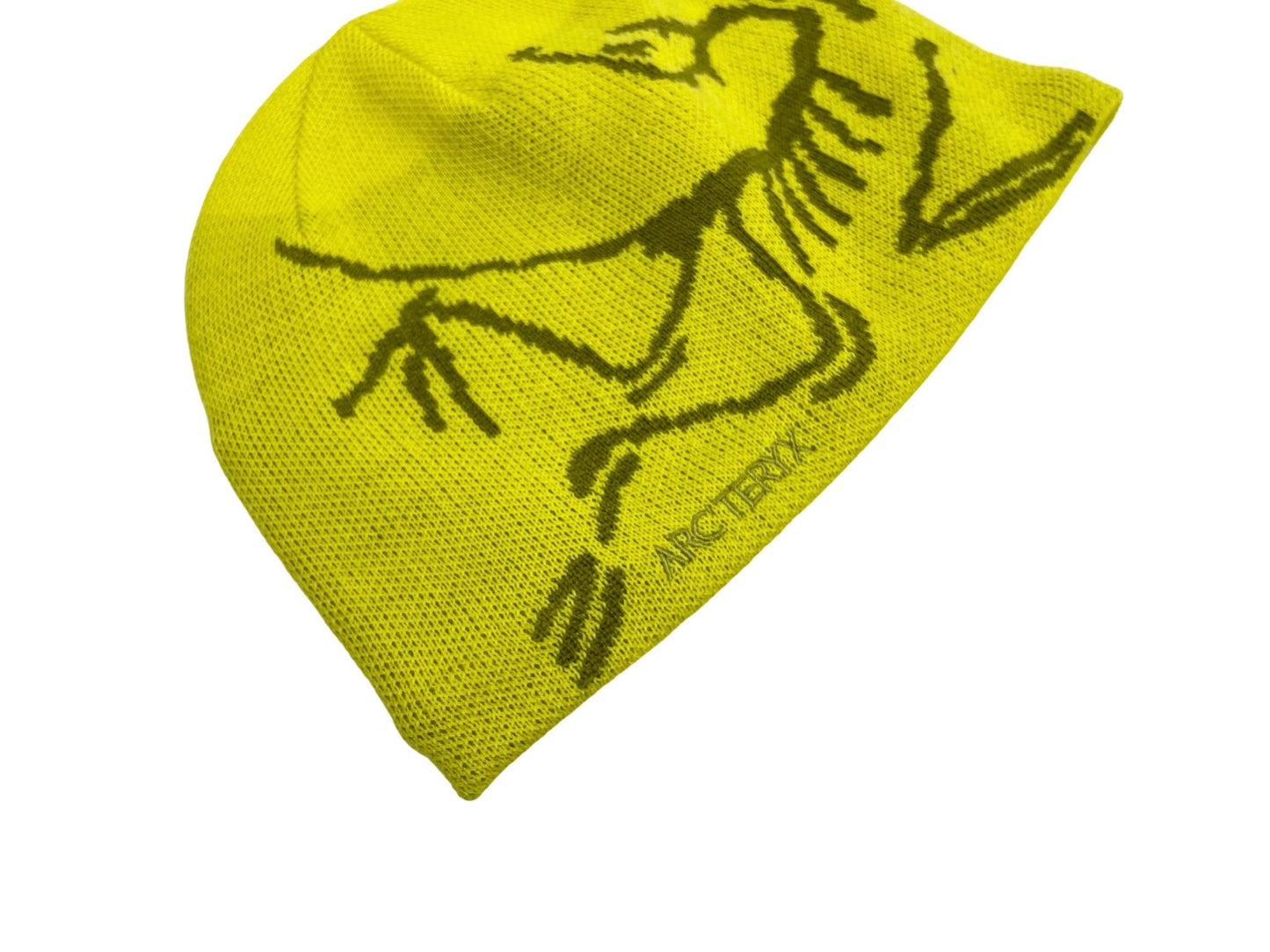 Arc'teryx Bird Head Toque