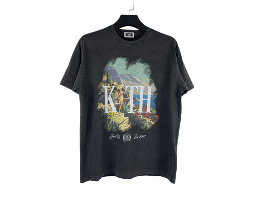 Kith Gateway Vintage T-Shirt