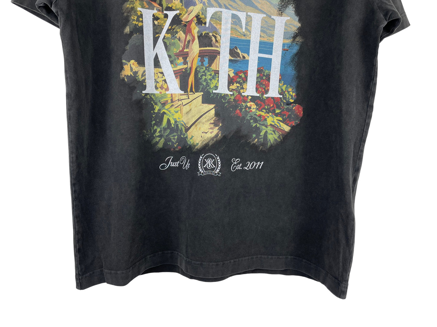 Kith Gateway Vintage T-Shirt
